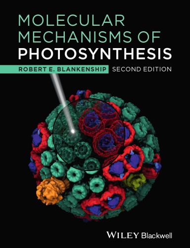 Molecular Mechanisms of Photosynthesis