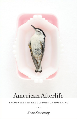 American Afterlife: Encounters in the Customs of Mourning