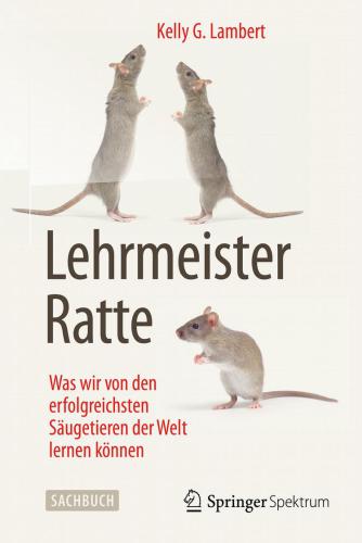 Lehrmeister Ratte: Was wir von den erfolgreichsten Säugetieren der Welt lernen können