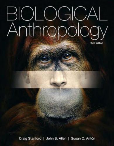 Biological anthropology : the natural history of humankind