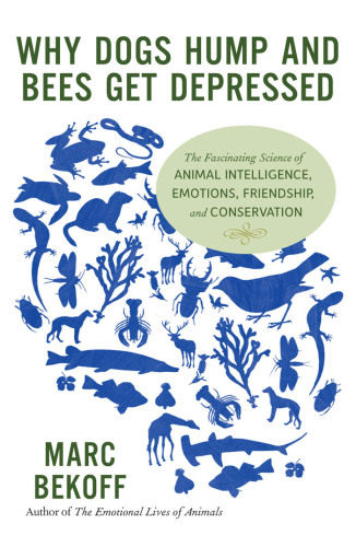 Why dogs hump and bees get depressed: the fascinating science of animal intelligence, emotions, friendship, and conservation