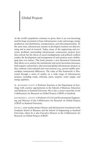 Global projects : institutional and political challenges