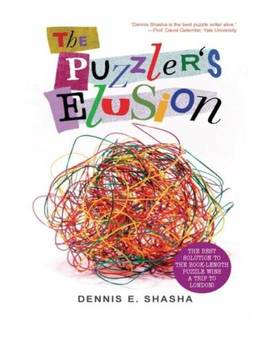 The Puzzler's Elusion: A Tale of Fraud, Pursuit, and the Art of Logic
