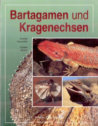 Bartagamen und Kragenechsen
