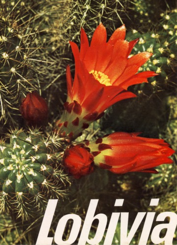 Lobivia