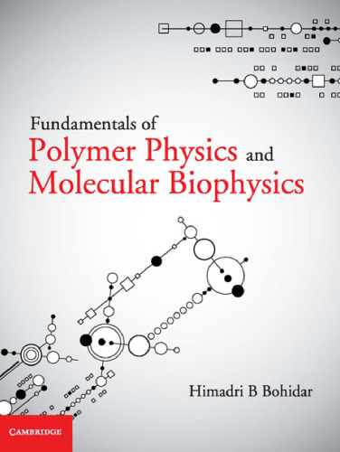 Fundamentals of Polymer Physics and Molecular Biophysics