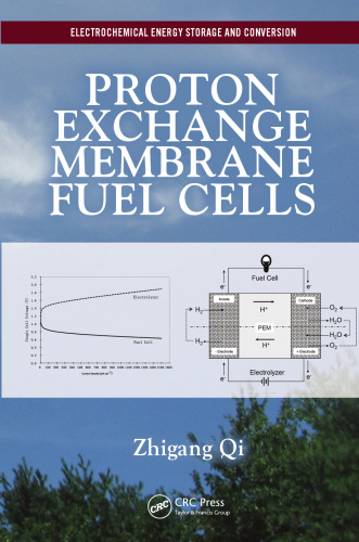 Proton Exchange Membrane Fuel Cells