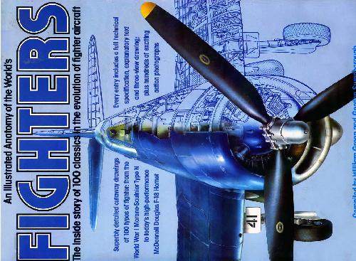 Illustrated Anatomy of the World's Fighters