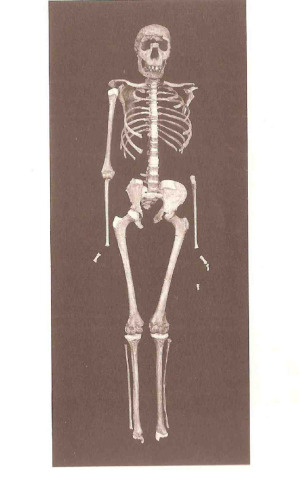 Il mondo prima della storia. Dagli inizi al 4000 a. C.