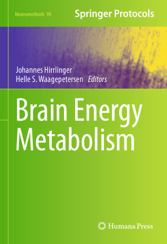 Brain Energy Metabolism