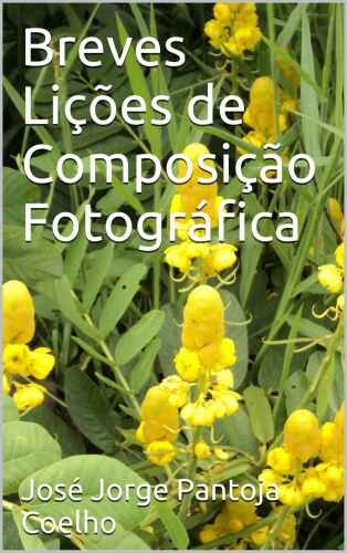 Breves Lições de Composição Fotográfica