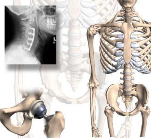 Orthopaedic Key Review Concepts
