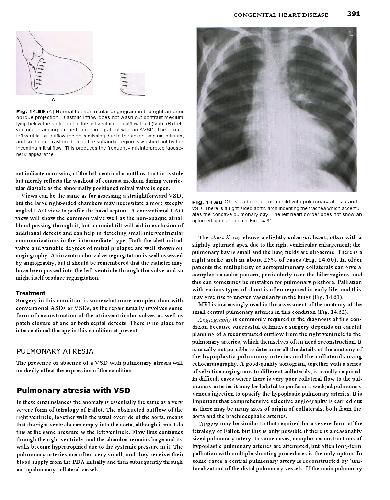 Textbook of Radiology and Imaging