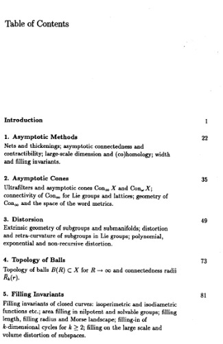 Asymptotic invariants of infinite groups