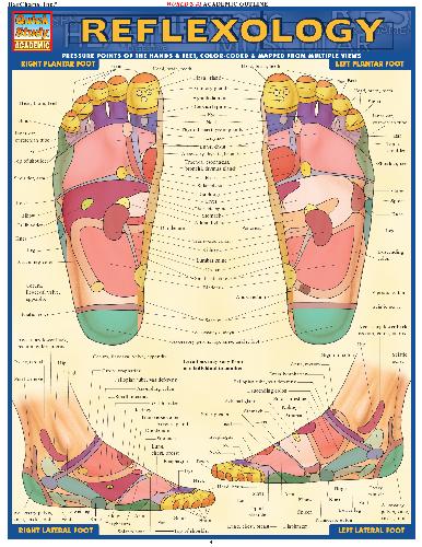 BarCharts QuickStudy Reflexology