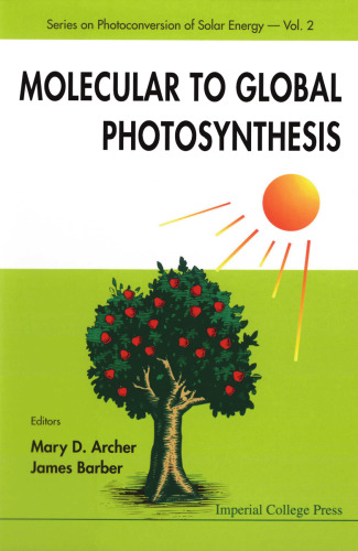 Molecular to Global Photosynthesis