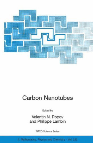 From Basic Research to Nanotechnology Carbon Nanotubes