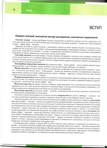 Анатомія людини