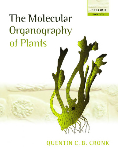 The Molecular Organography of Plants
