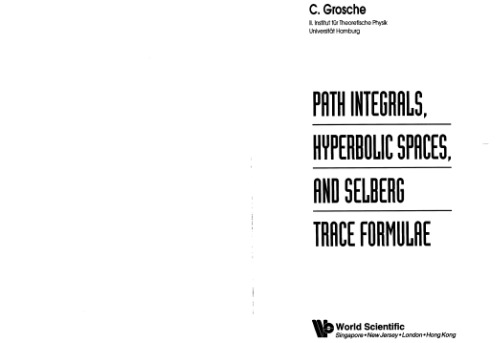 Path integrals, hyperbolic spaces, and Selberg trace formulae