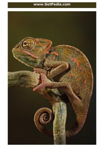 How I Made 2 Million in the Stock Market