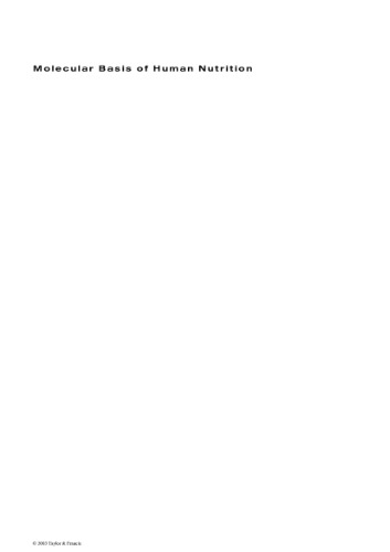 Molecular Basis Of Human Nutrition