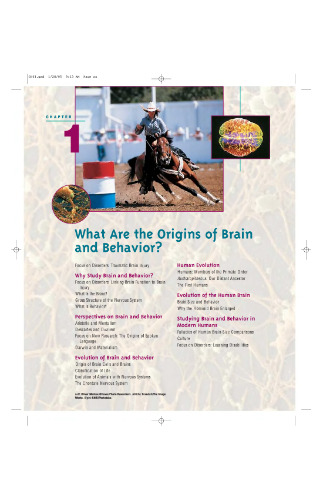 Introduction to Brain and Behavior