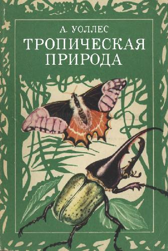 Тропическая природа