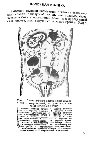 Неотложная урологическая помошь в практике военного врача.