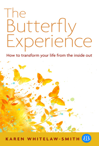 The butterfly experience: how to transform your life from the inside out