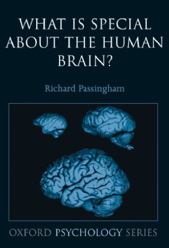 What is special about the human brain?