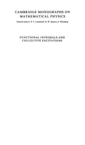 Functional integrals and collective excitations
