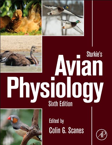 Sturkie's avian physiology