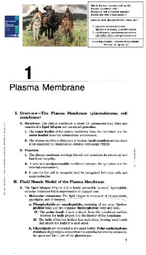 Cell Biology and Histology