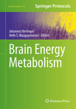 Brain Energy Metabolism