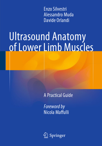 Ultrasound Anatomy of Lower Limb Muscles: A Practical Guide