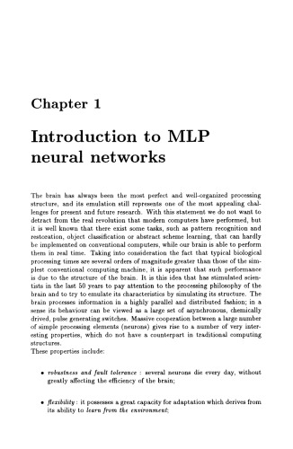 Neural Networks in Multidimensional Domains: Fundamentals and New Trends in Modelling and Control