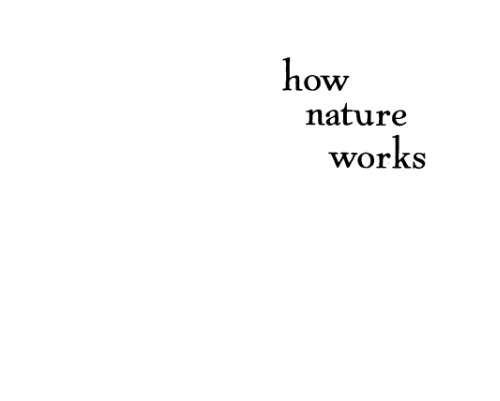 How nature works: the science of self-organized criticality