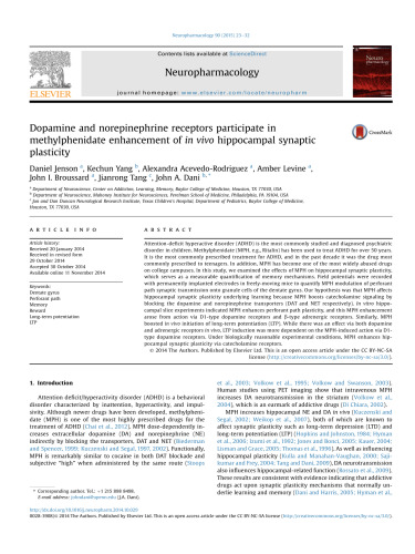 Dopamine and norepinephrine receptors participate in methylphenidate enhancement of in&nbsp;vivo hippocampal synaptic plasticity