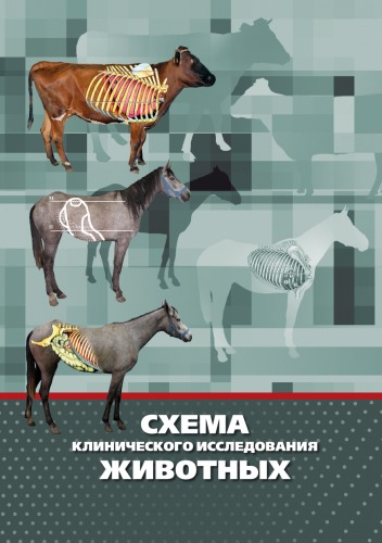 СХЕМА КЛИНИЧЕСКОГО ИССЛЕДОВАНИЯ ЖИВОТНЫХ