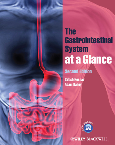 The gastrointestinal system at a glance