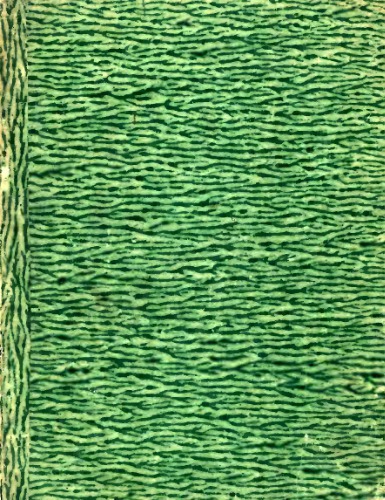 Przewodnik po cmentarzach lwowskich Łyczakowskim i Janowskim : opracowanie tymczasowe