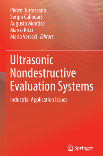 Ultrasonic Nondestructive Evaluation Systems: Industrial Application Issues
