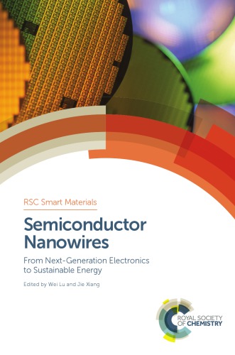 Semiconductor Nanowires: From Next-Generation Electronics to Sustainable Energy