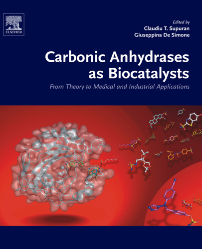 Carbonic Anhydrases as Biocatalysts: From Theory to Medical and Industrial Applications