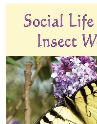 Social Life in the Insect World