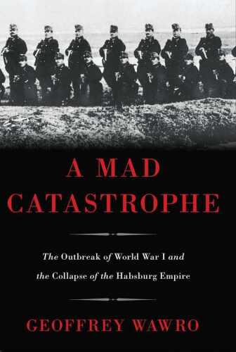 A Mad Catastrophe: The Outbreak of World War I and the Collapse of the Habsburg Empire