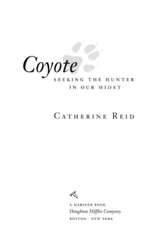 Coyote: Seeking the Hunter in Our Midst