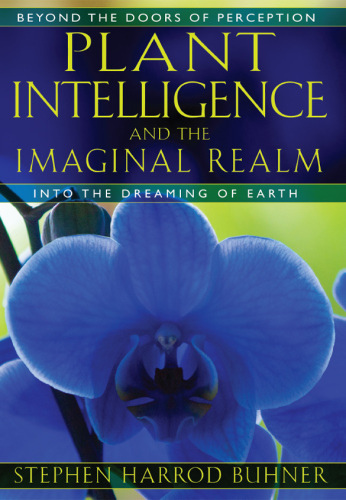 Plant Intelligence and the Imaginal Realm: Beyond the Doors of Perception into the Dreaming of Earth
