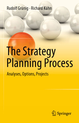 The Strategy Planning Process: Analyses, Options, Projects
